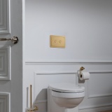 JTP Grosvenor Brushed Brass Metal Pneumatic Flush Plate Lifestyle Image